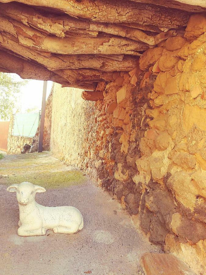 Cal Xaiet Guest House Llampaies Bagian luar foto